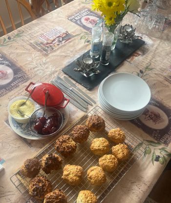 The longest 6 weeks are over! And sneaky peeks