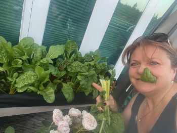 Look at me Chard! Benefits of balconies in the sunshine! And sneaky peeks…