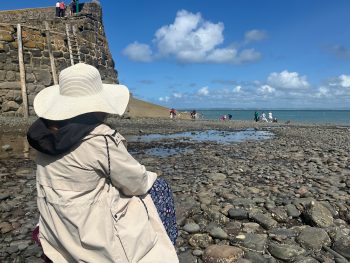 Kiddies come to stay! Sneaky peeks, and afternoon tea in November?