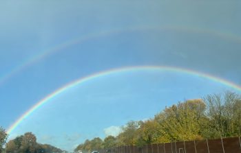 Four weeks is nearly over, postop! And sneaky peeks!